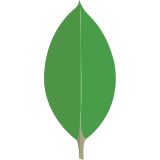 MongoDB